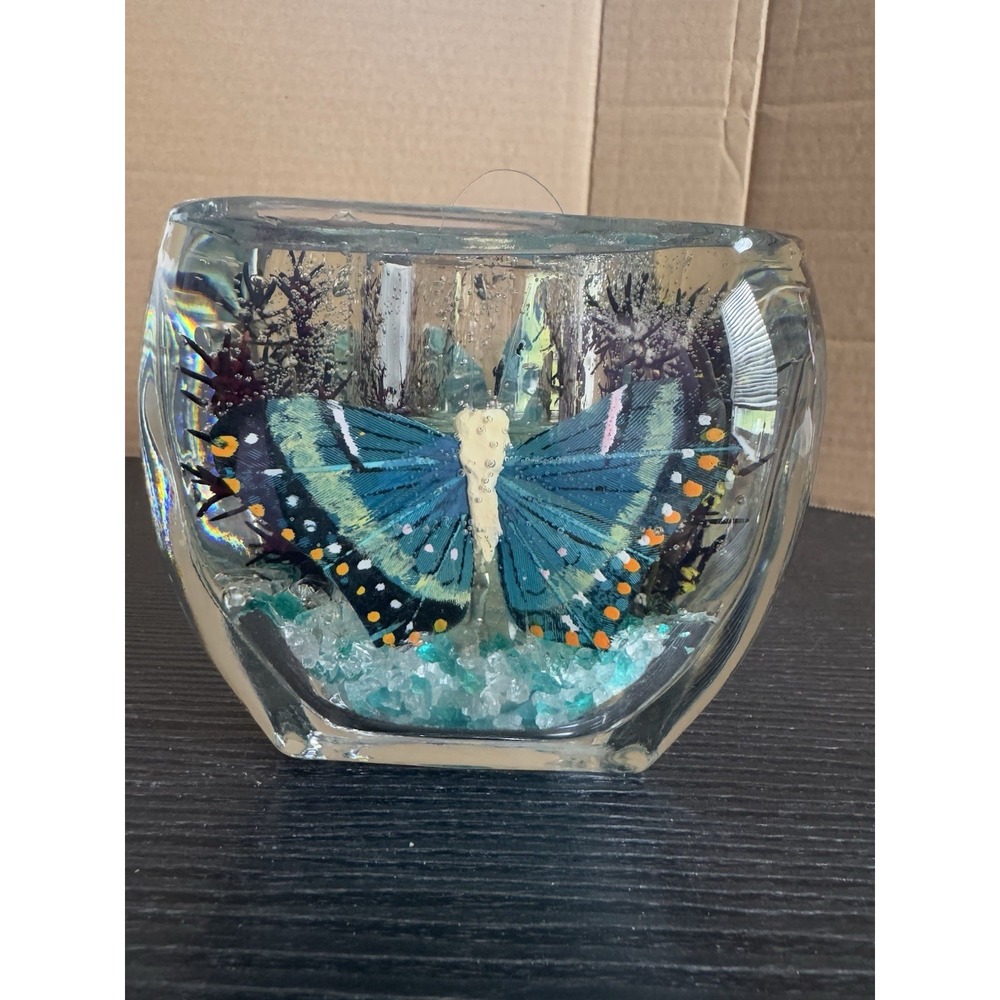 Butterfly Gel Candle  Burns Clear Burns‎ Clean Beautiful - Picture 11 of 13